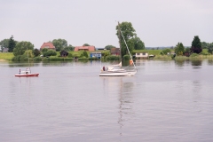 0013__DSD8195