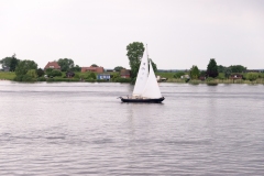 0021__DSD8203